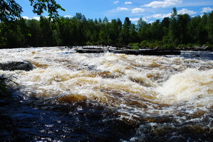 DSC_1069_small.JPG